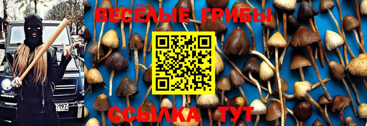 Галлюциногенные грибы Psilocybine cubensis Зеленокумск