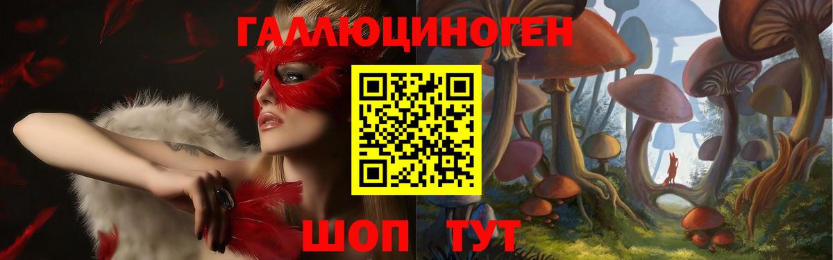 Зеленокумск  Псилоцибиновые грибы прущие грибы  Вход с VPN 